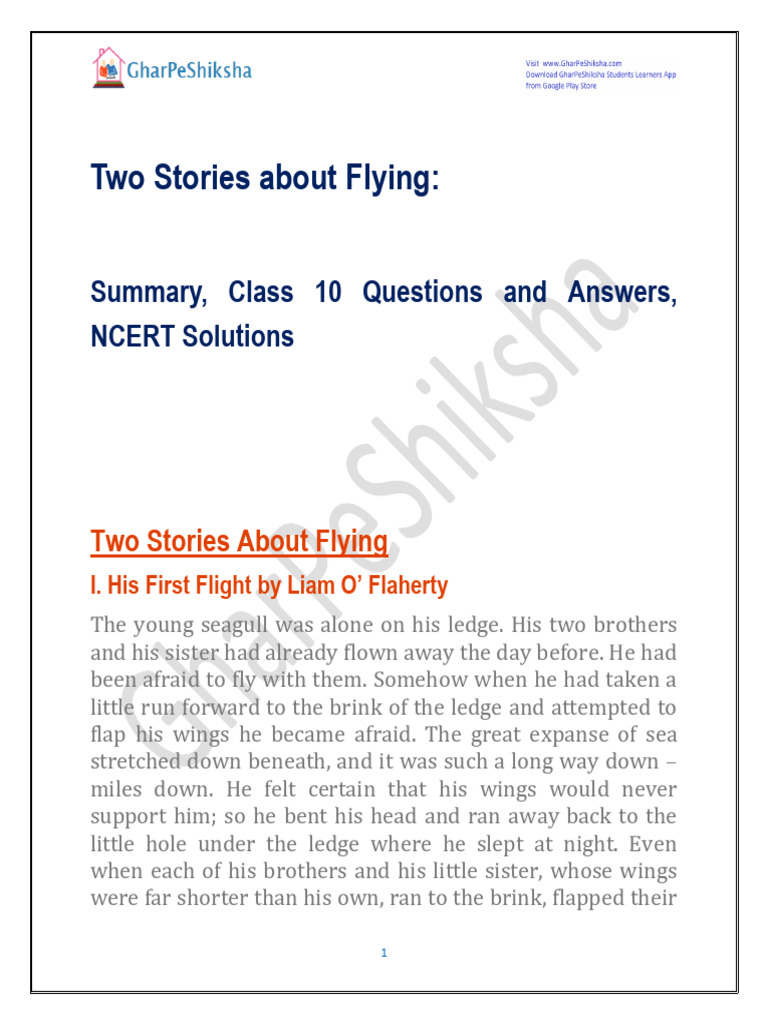 First Flight and Stormy Rescue Stories | PDF | Airplane