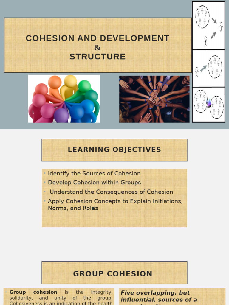 Understanding Group Cohesion Dynamics | PDF | Group Cohesiveness ...