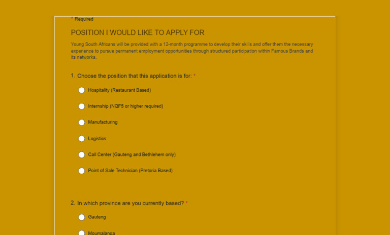 Job Application Famous Brands - Yes Programme 2025 | PDF