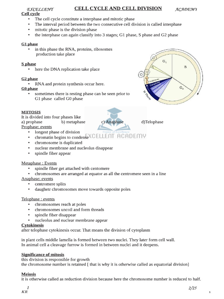 Cell Cycle | PDF