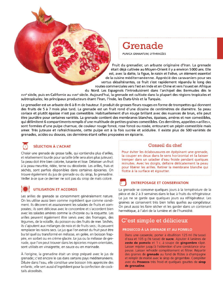 Grenade | PDF