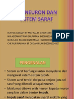 Sistem Saraf