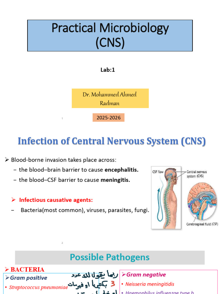 Practical Microbiology (CNS) | PDF | Cerebrospinal Fluid | Meningitis