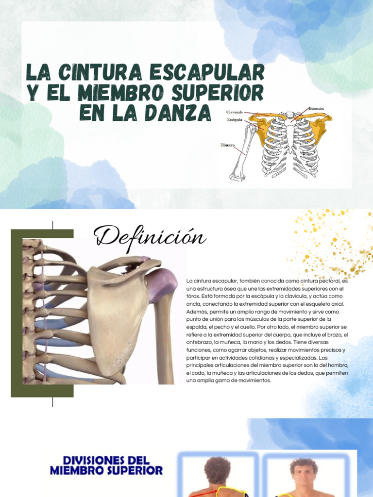 Dura-ultimate Cinghia Alta Temperatura Cinghia A V In Aramide D&D - Foto 5