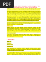 Unit - 1 (2nd) Talk 1 Fire Damp | PDF | Combustion | Fires