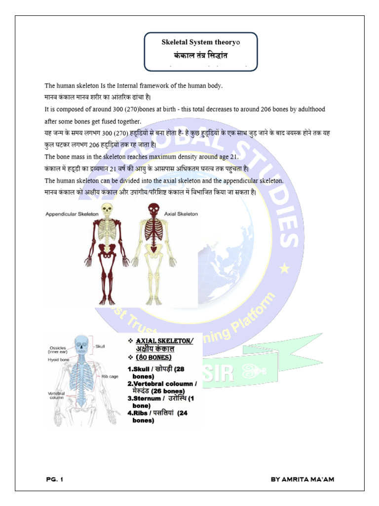 Skeletal System Theory PDF | PDF
