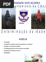 Determinação da idade de bovinos atraves dos dentes Pronto