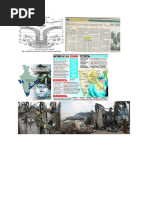 Anatomy of a Tropical Cyclone | PDF | Eye (Cyclone) | Tropical Cyclones