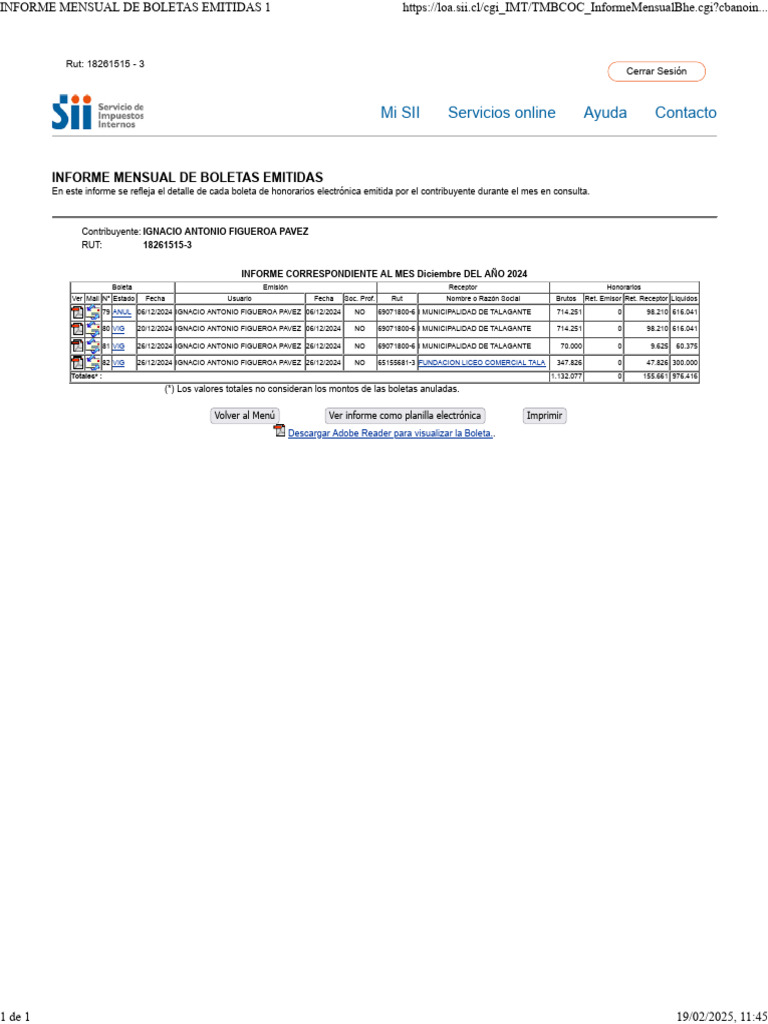 Informe Mensual de Boletas Emitidas Diciembre 2024 | PDF