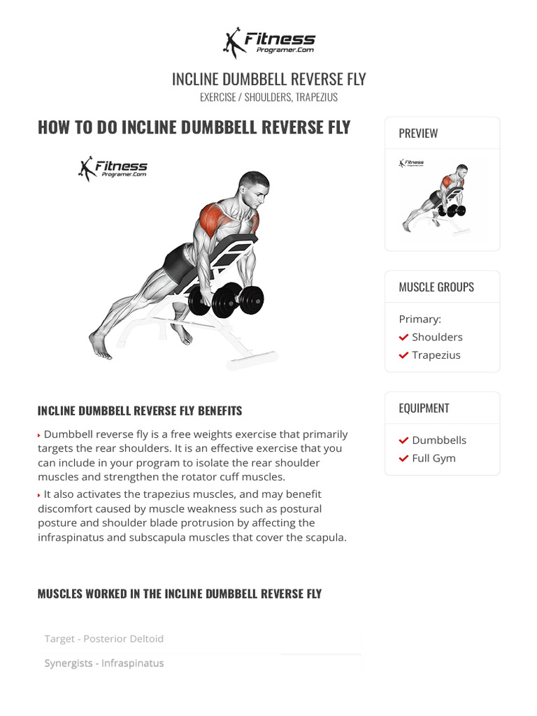 Incline Dumbbell Reverse Fly Guide | PDF