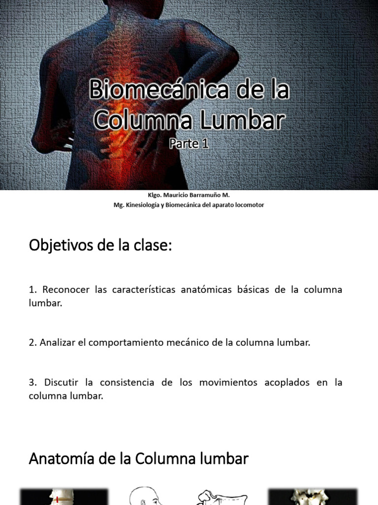 Clase 2 - Biomecánica de La Columna Lumbar 1 | PDF | Vértebra | Sistema ...