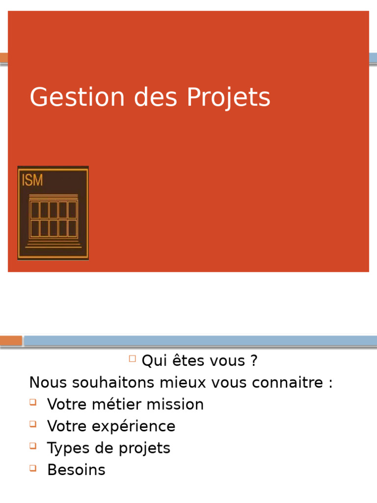 Systèmes d'Information et Informatique | PDF