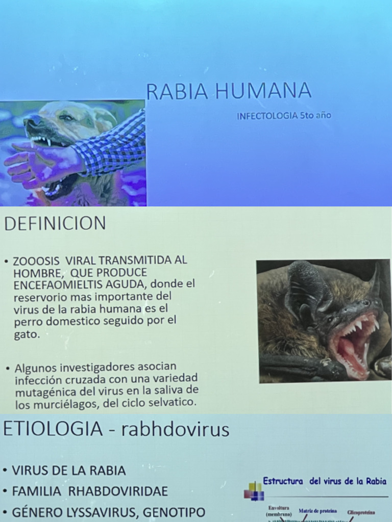 Rabia Humana | PDF