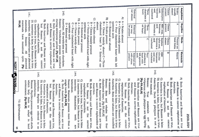 Pdfreader 20250810 0895 Pdf