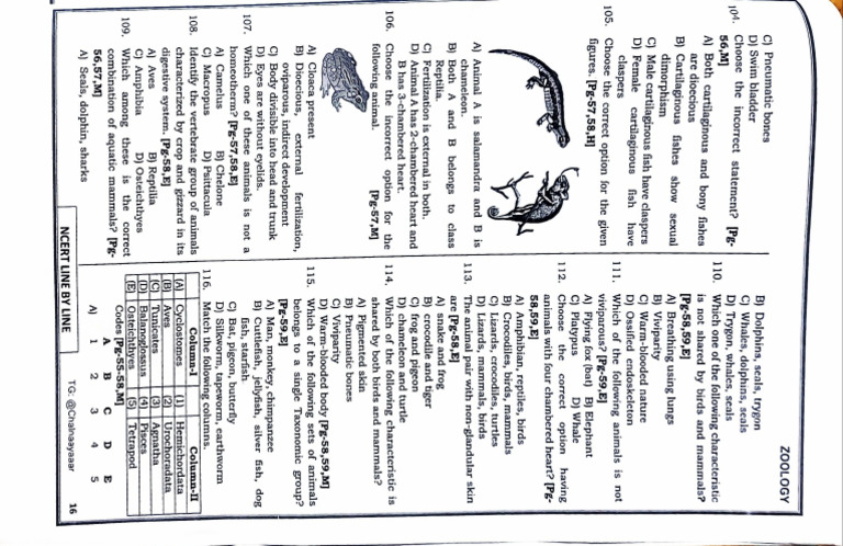 Pdfreader 20250810 0803 Pdf