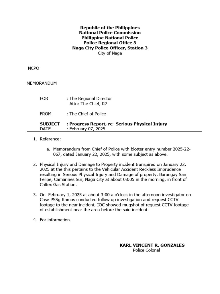Progress Report on Serious Injury Case | PDF