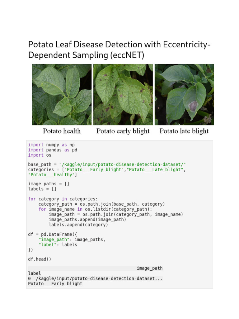 Potato Disease Detection | PDF | Accuracy And Precision