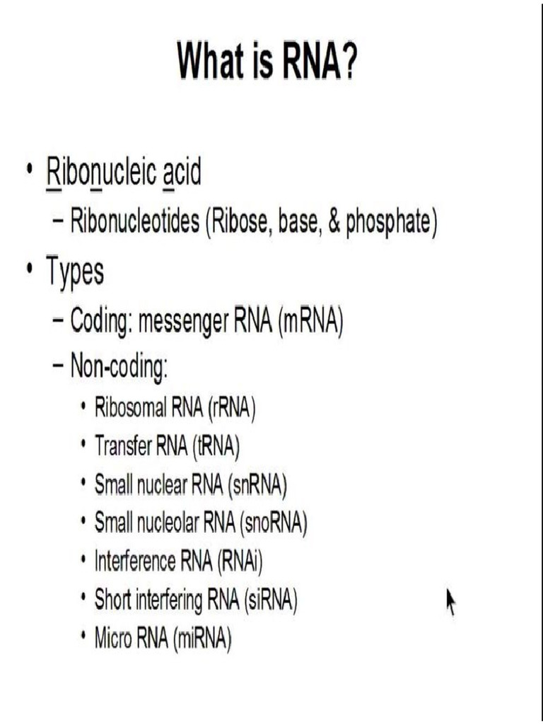 Rna | PDF