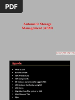 Automatic Storage Management (ASM)