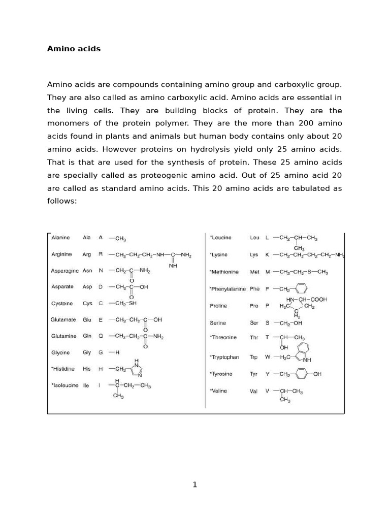 Amino Acids | PDF | Amino Acid | Biosynthesis