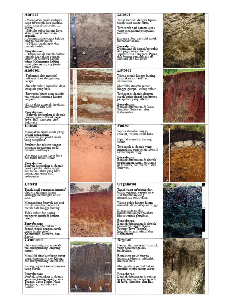 Jenis-Jenis Tanah di Indonesia | PDF
