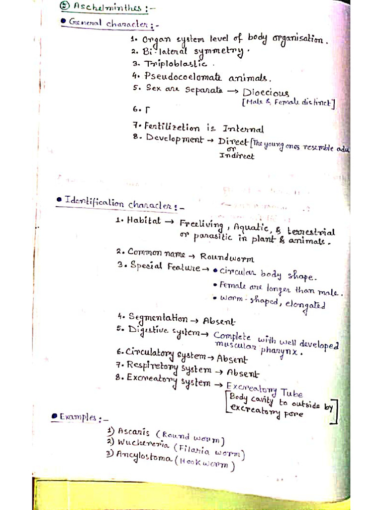 94Comprehensive Physics Notes – Easy & Exam-Ready Description: These ...