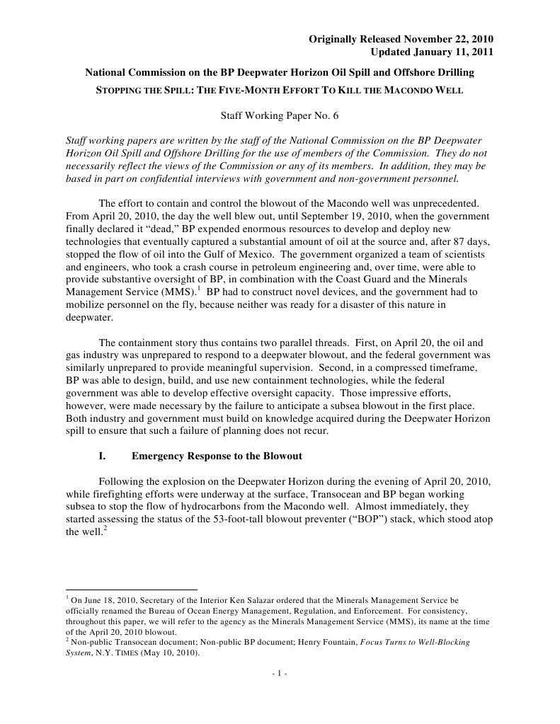 Government response to bp oil spill image