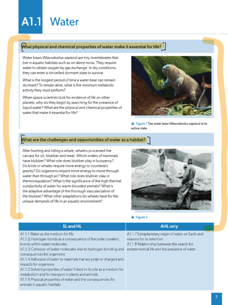 A1 1 | PDF