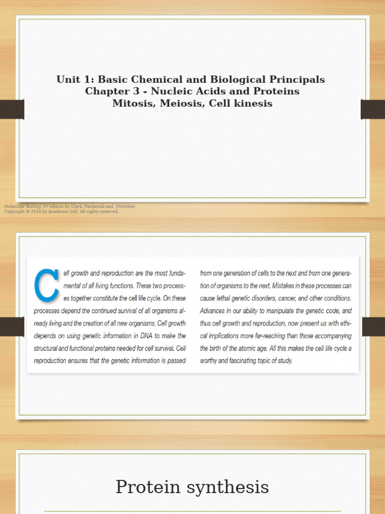 DNA Structure and Protein Synthesis | PDF | Nucleotides | Nucleic Acids
