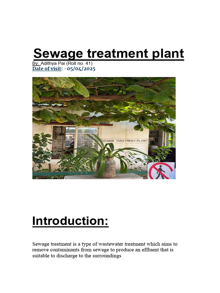 Overview of Sewage Treatment Process | PDF | Sewage Treatment | Sewage
