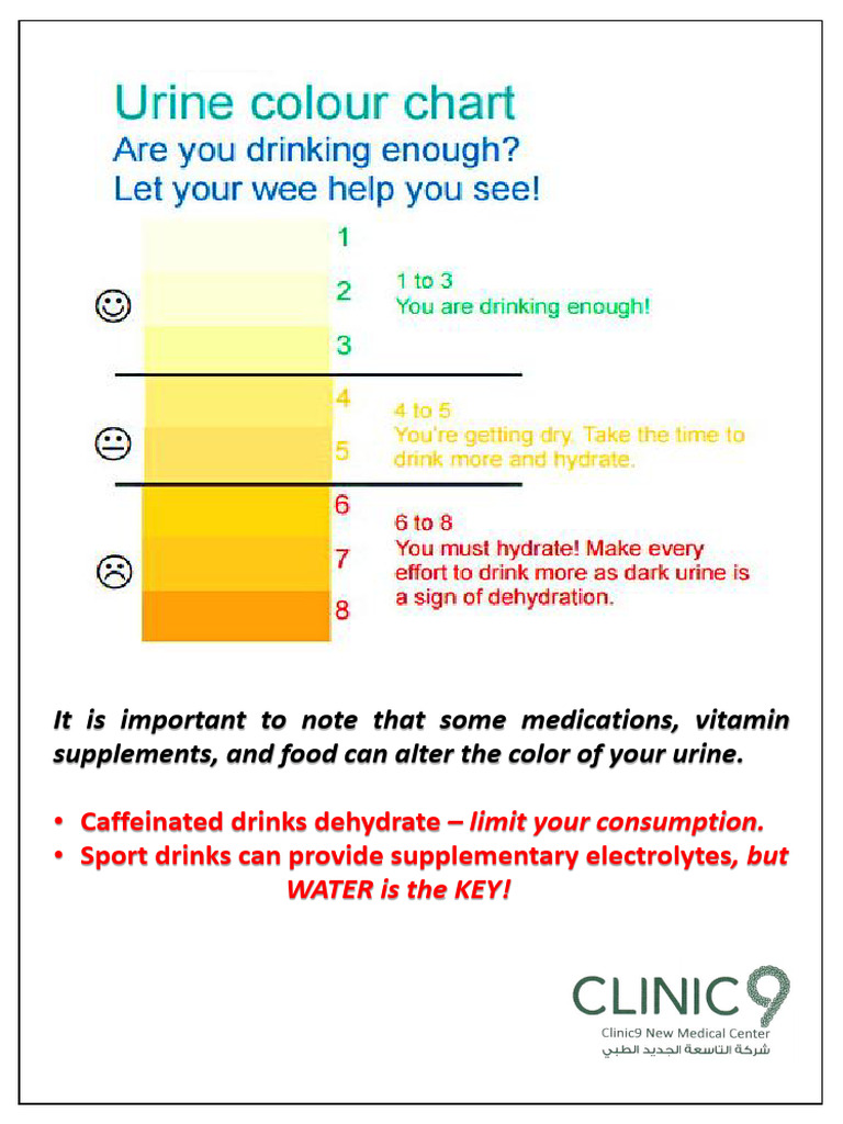 Urine Color Chart | PDF