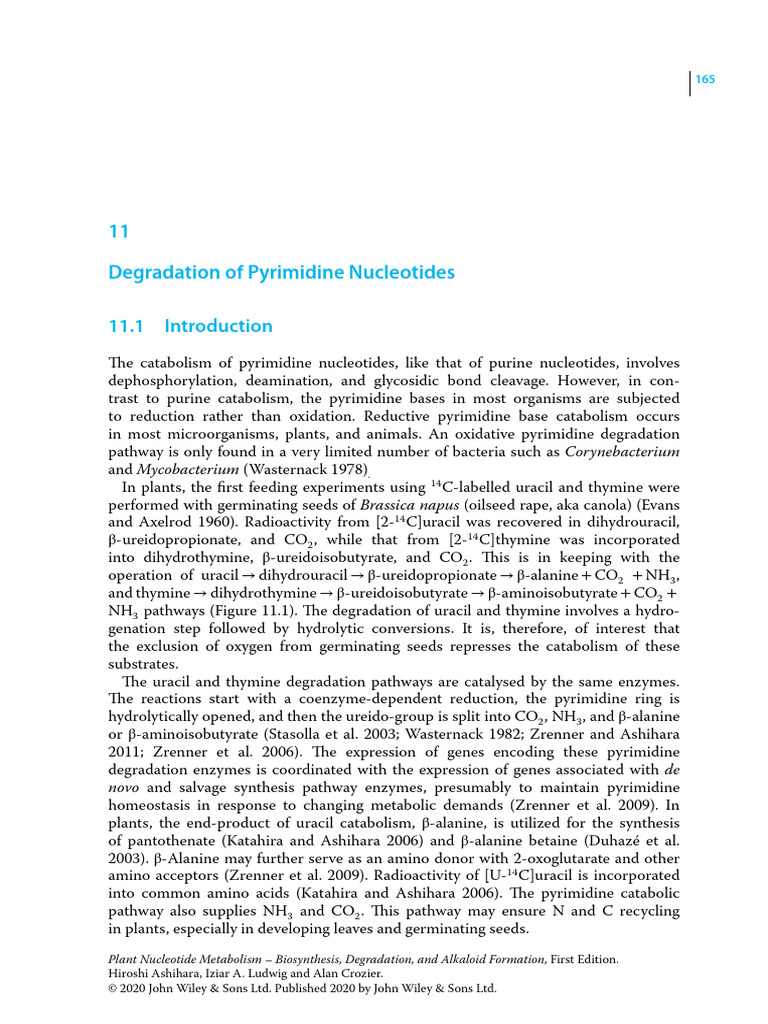 Pyrimidine Nucleotide Degradation Pathways | PDF | Biosynthesis ...