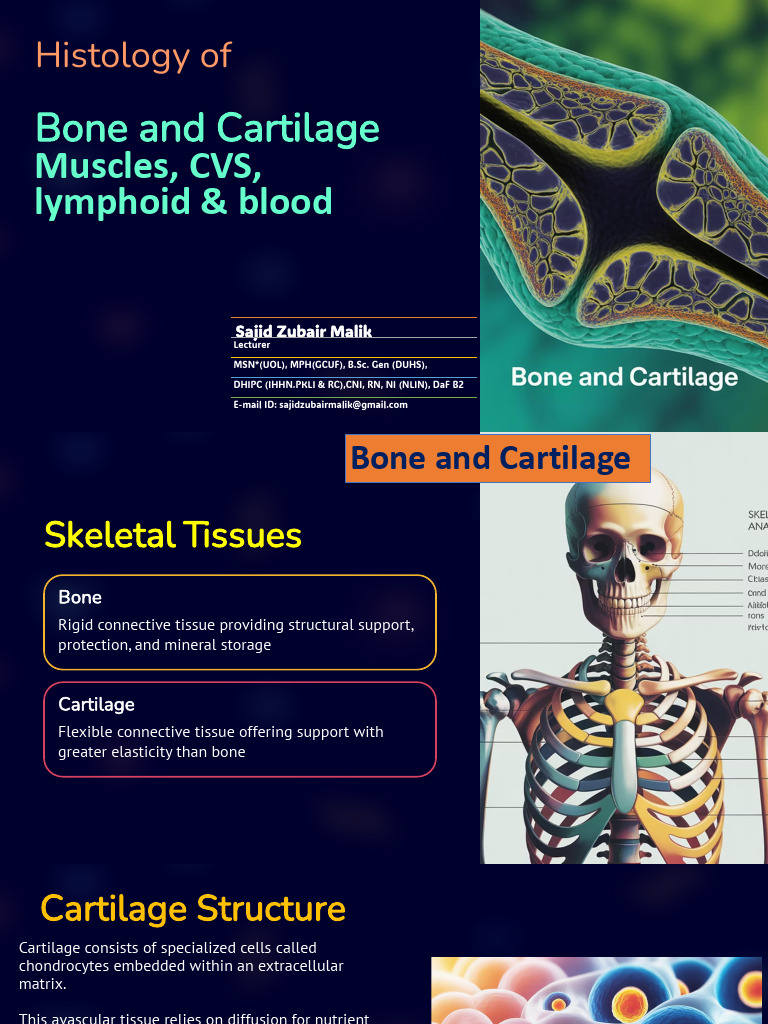 Histologyof Bone and Cartilage Pptx BSN | PDF | Bone | Cardiac Muscle