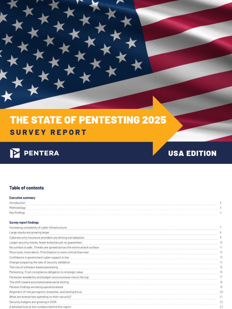 2025 State of Manual Pentesting Survey Reportv Final F | PDF | Computer ...
