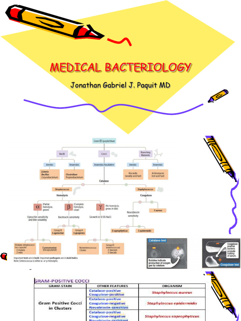 Overview of Medical Bacteriology | PDF