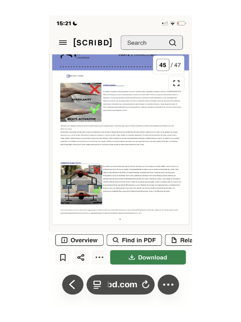 1 Screenshot | PDF