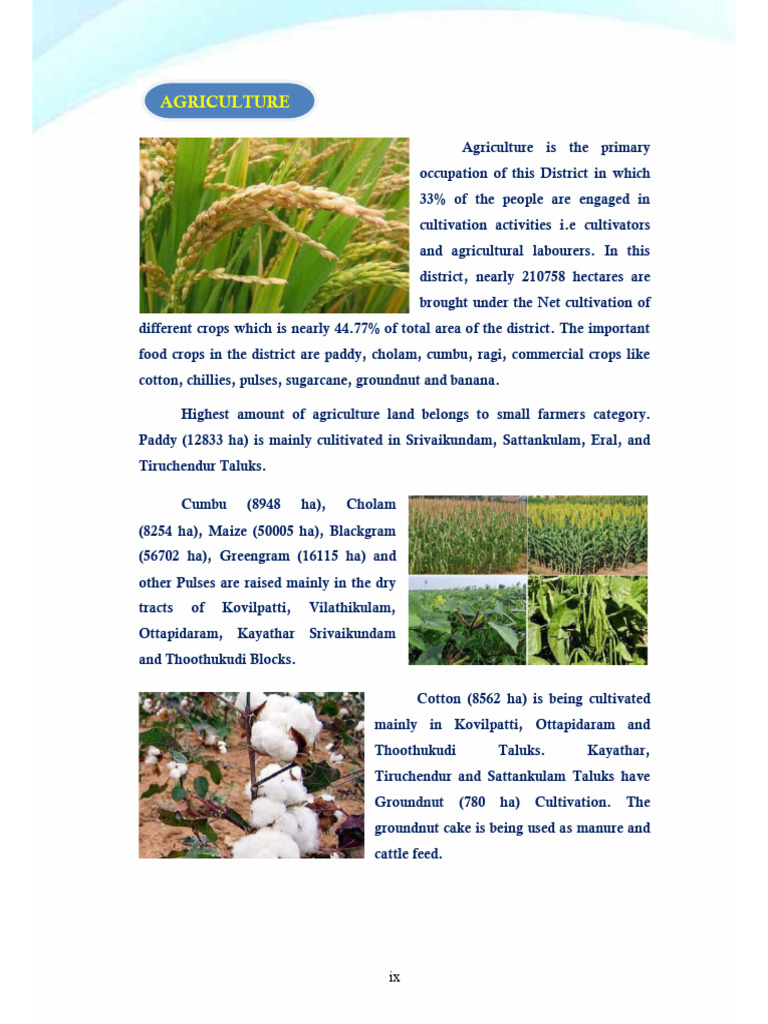 Agriculture Overview of District Crops | PDF