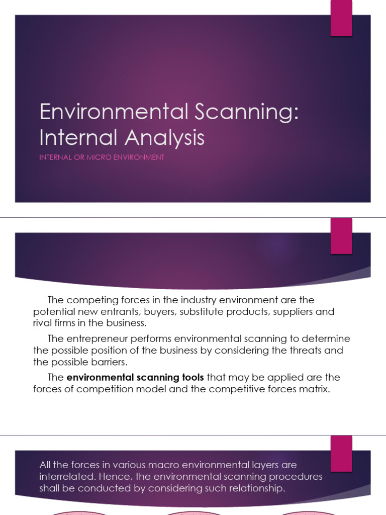 Internal Environmental Scanning Guide | PDF | Financial Economics ...