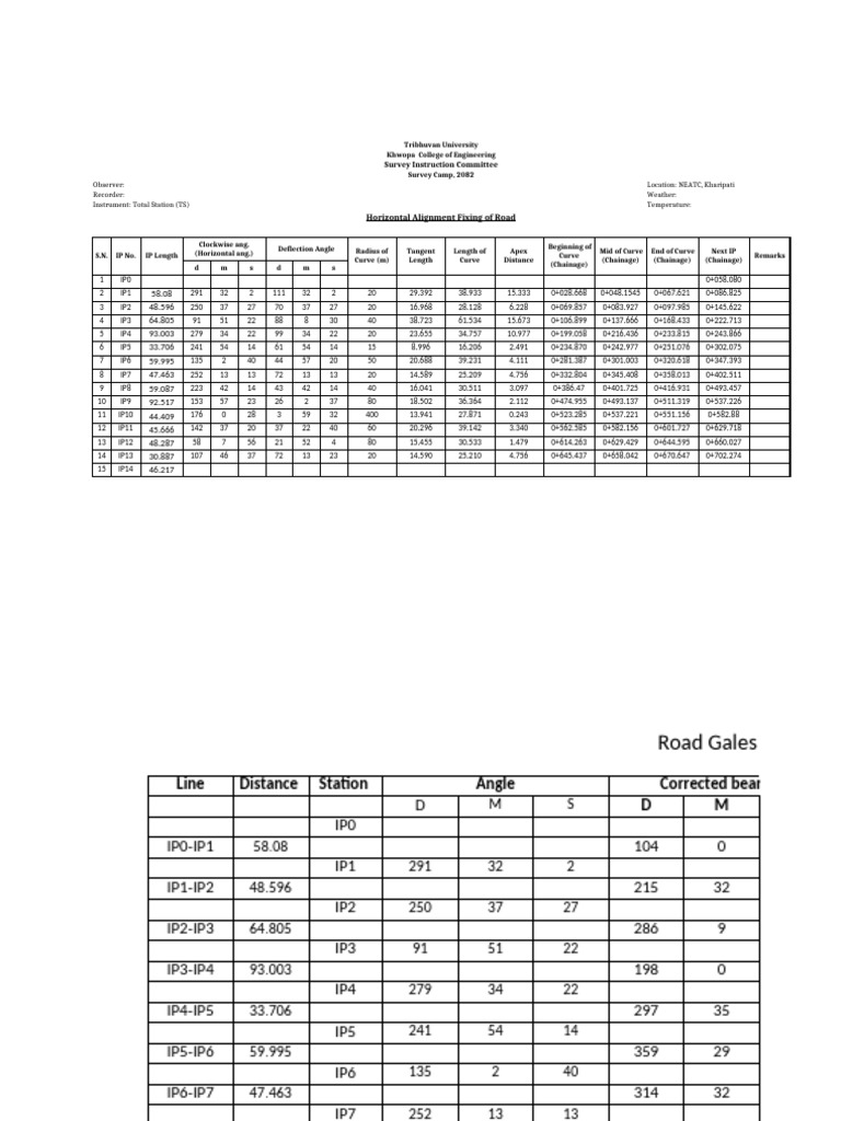 Horizontal Alignment Survey Data | PDF | Geometry | Geometric Measurement