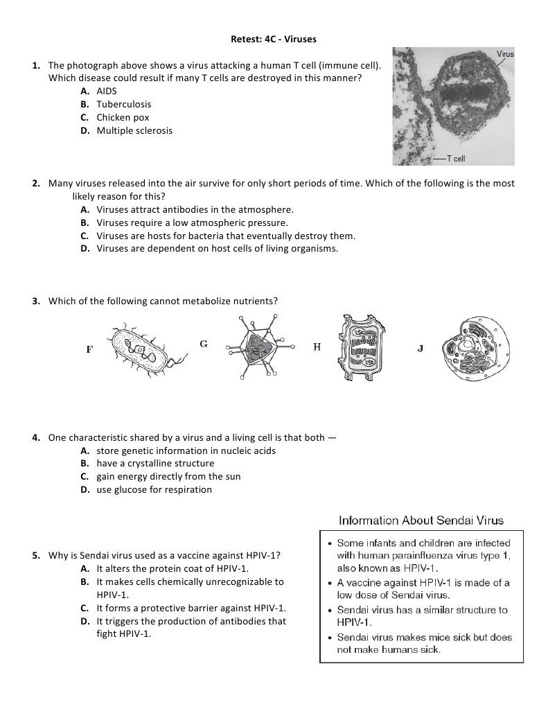 4c - Viruses | PDF | Self-Improvement | Wellness