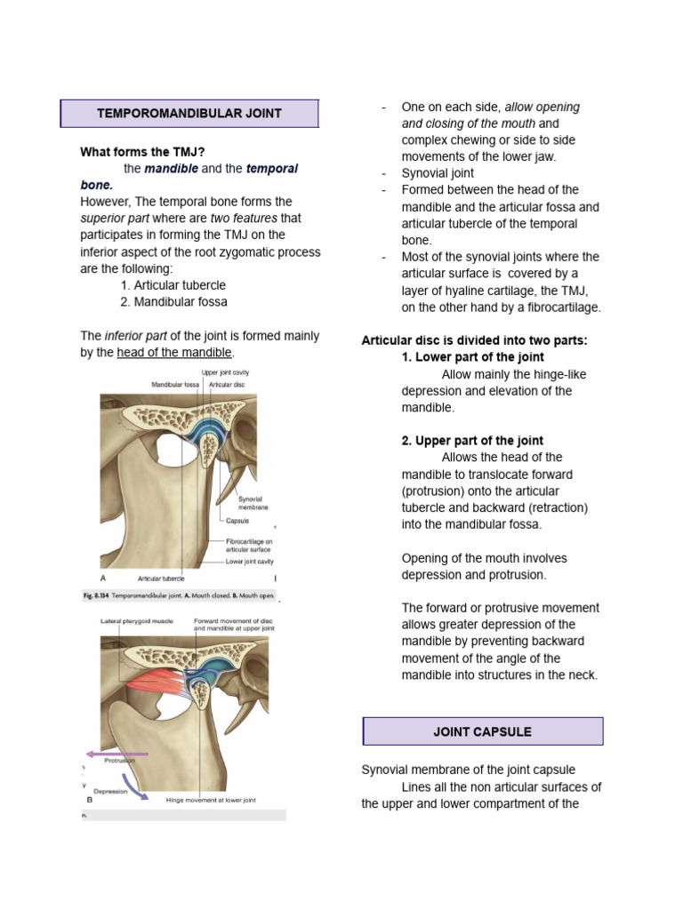 TEMPOROMANDIBULAR JOINT | PDF | Human Head And Neck | Human Anatomy