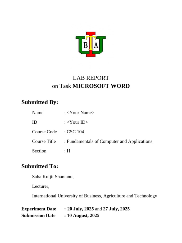 Report Template | PDF