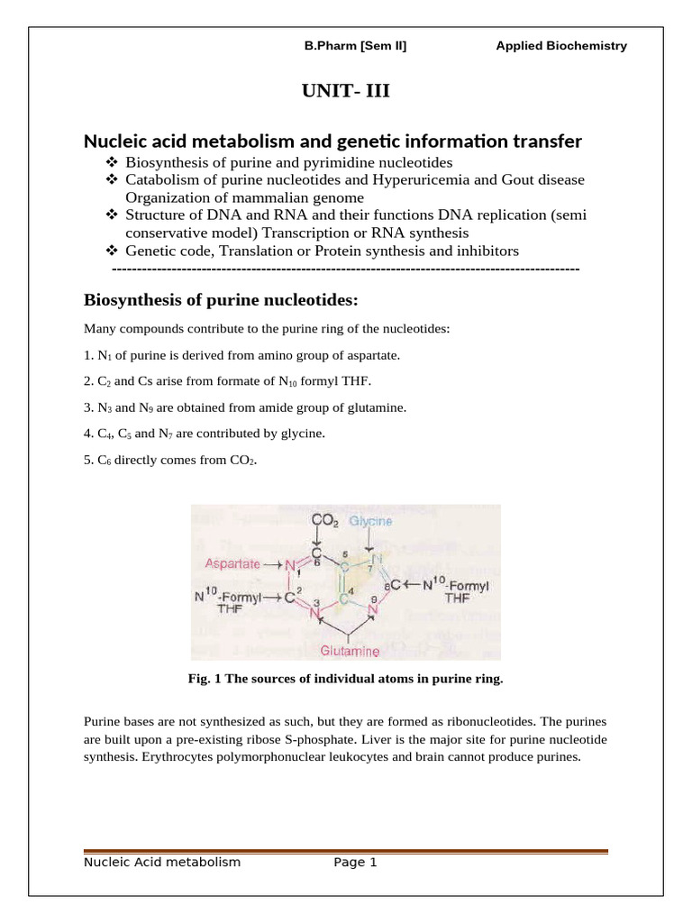 Nucleic Acid Metabolism Overview | PDF | Nucleotides | Biosynthesis