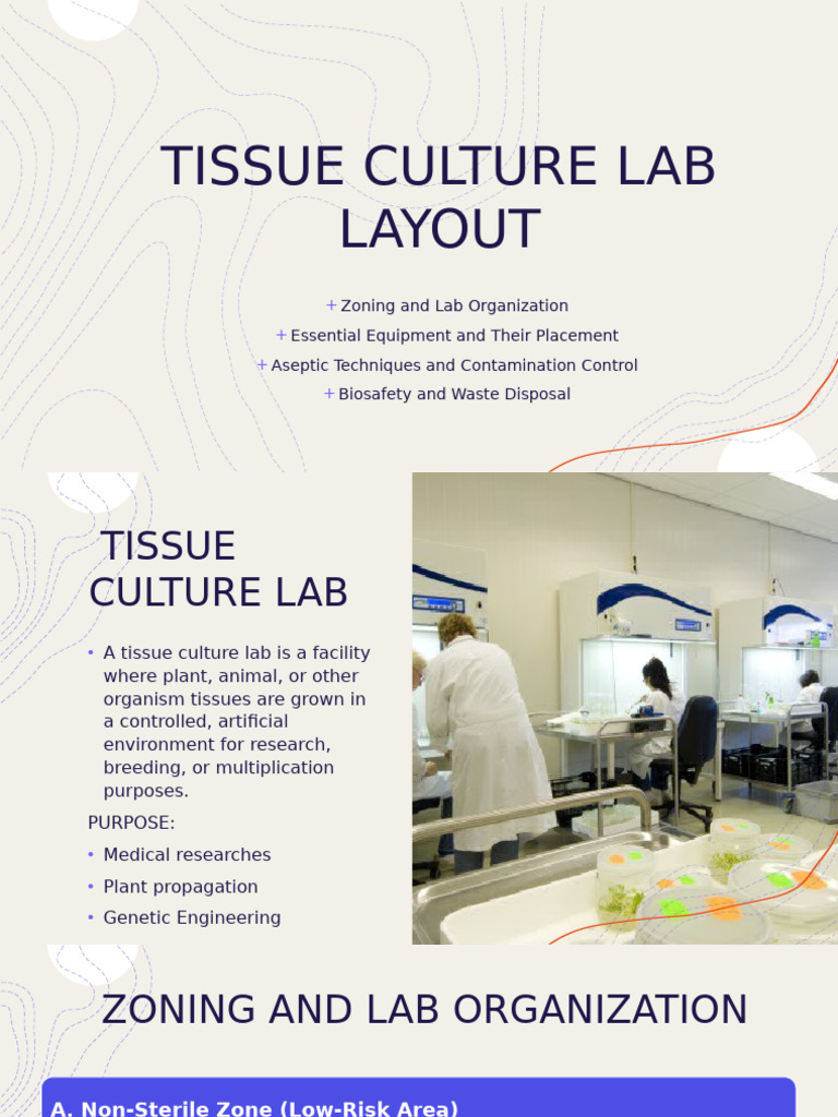 Tissue Culture Lab Layout | PDF | Infection | Cell Culture, image size:768x1024