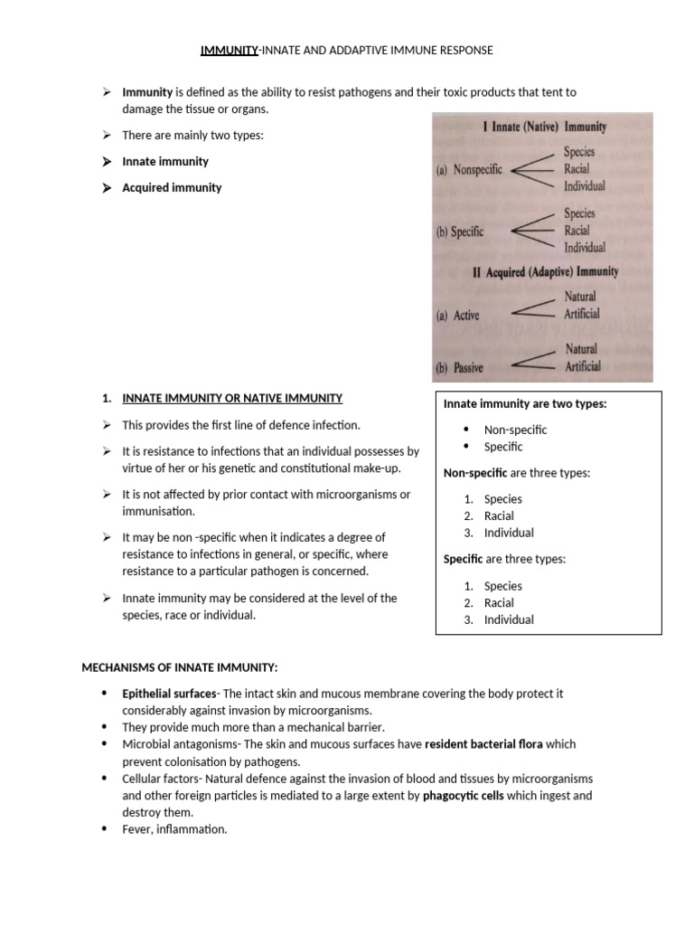 Innate and Adaptive Immune Response | PDF | Immune System | Adaptive ...