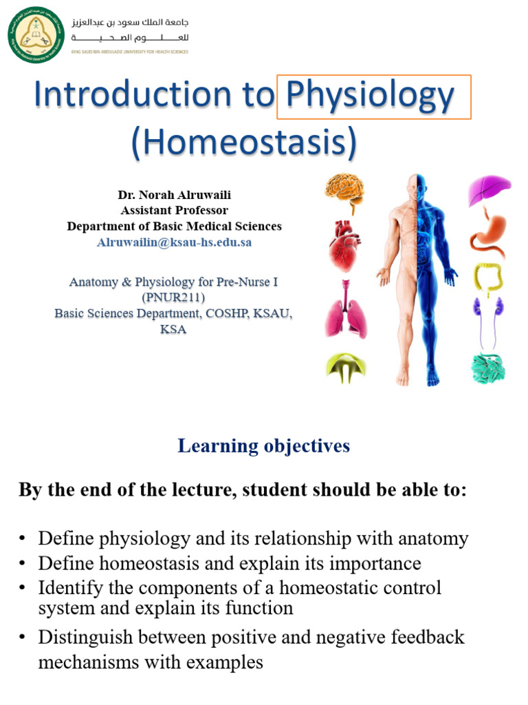Homeostasis in Anatomy and Physiology | PDF | Homeostasis | Small Intestine