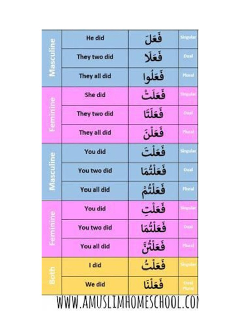 فعل ماض | PDF