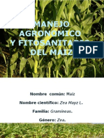 Maiz Manejo Agronomico y Fitosanitario