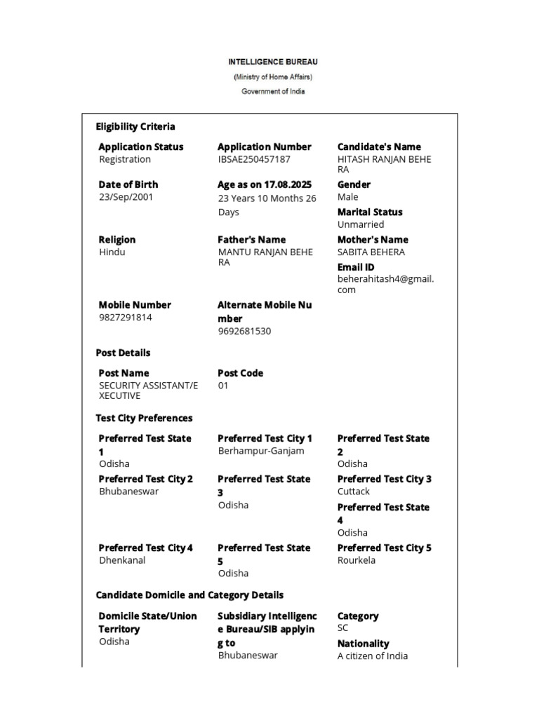 Security Assistant Application Details | PDF