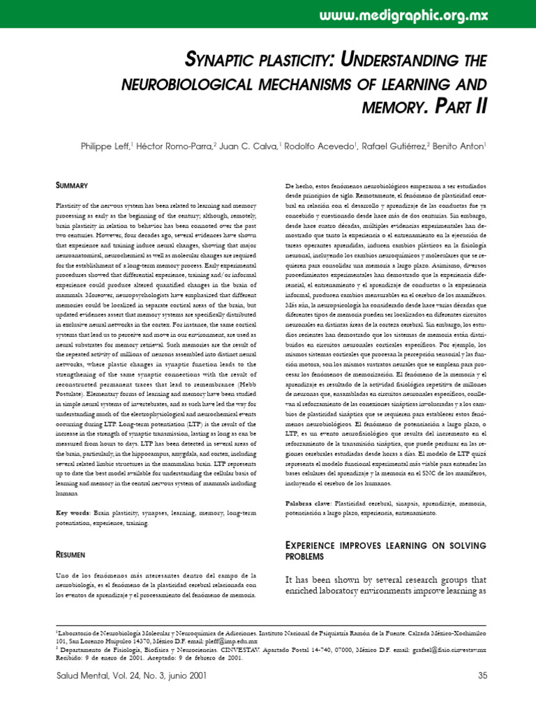Synaptic Plasticity Understanding | PDF | Classical Conditioning | Synapse